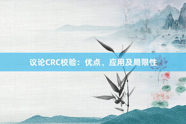 议论CRC校验：优点、应用及局限性